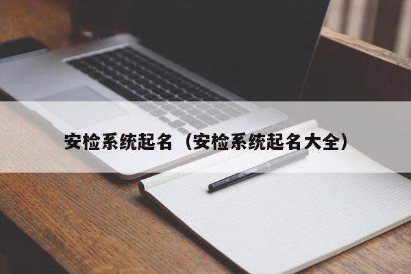 安检系统起名(安检系统起名大全)