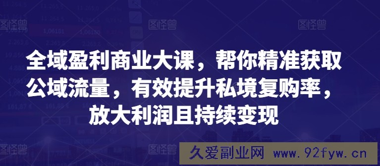 全域盈利商业大课，帮你精准获取公域流量，有效提升私境复购率，放大利润且持续变现