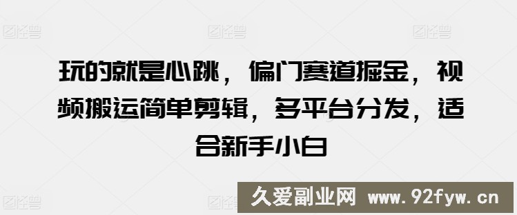 玩的就是心跳，偏门赛道掘金，视频搬运简单剪辑，多平台分发，适合新手小白【揭秘】