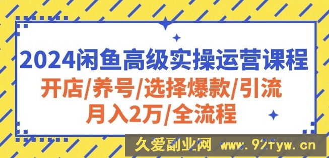 2024闲鱼高级实操运营课程：开店/养号/选择爆款/引流/月入2万/全流程