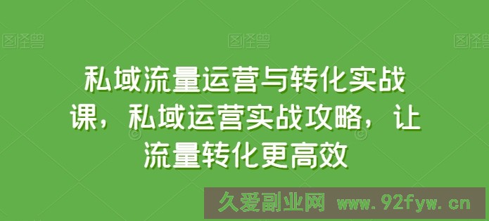 私域流量运营与转化实战课，私域运营实战攻略，让流量转化更高效