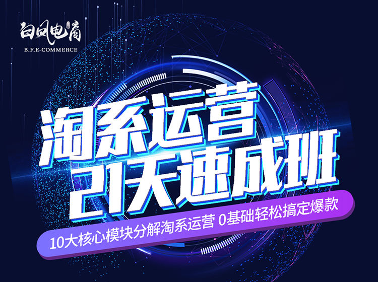 白凤电商-淘系运营21天速成班2024年6月(价值4999元)