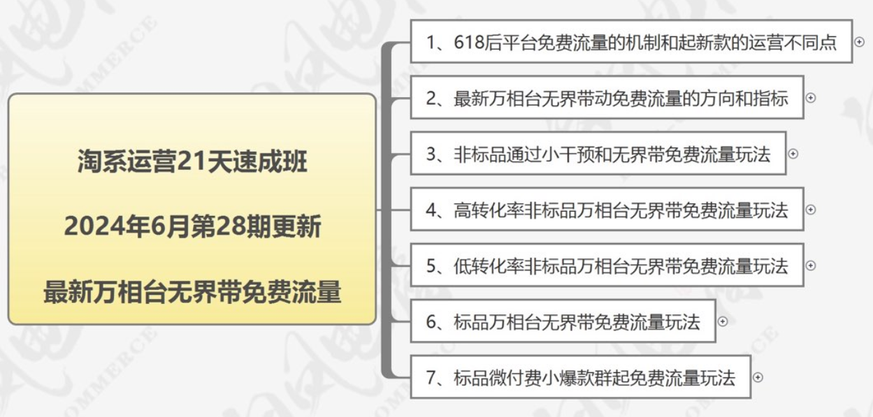 白凤电商-淘系运营21天速成班2024年6月(价值4999元)