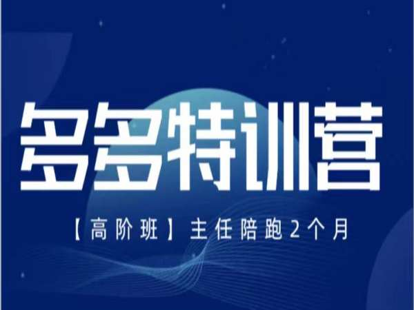 纪主任-多多特训营2024年8月新版(价值5288元)