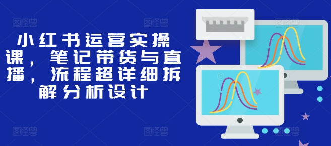 小红书运营实操课，笔记带货与直播，流程超详细拆解分析设计