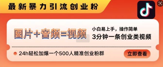 抖音最新暴力引流创业粉，3分钟一条创业类视频，24h轻松加爆一个500人精准创业粉群【揭秘】