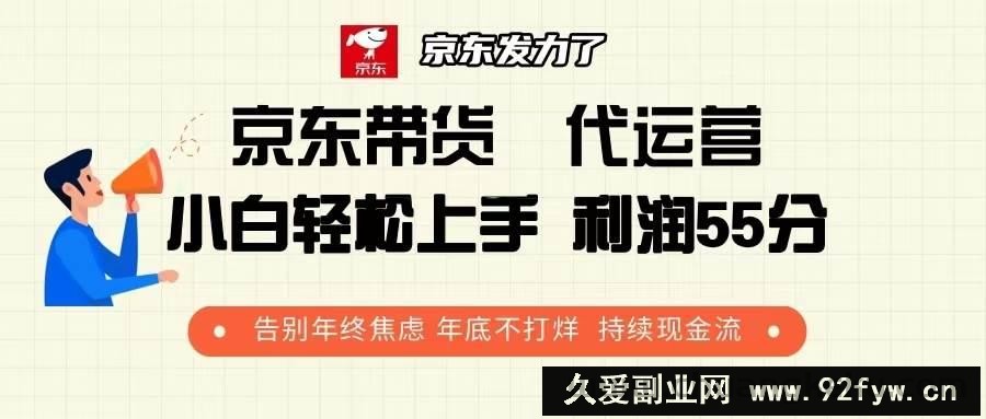 （13833期）京东带货 代运营 利润55分 告别年终焦虑 年底不打烊 持续现金流