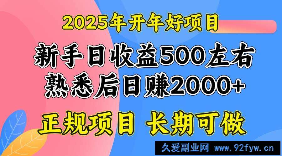 （14076期）2025开年好项目，单号日收益2000左右