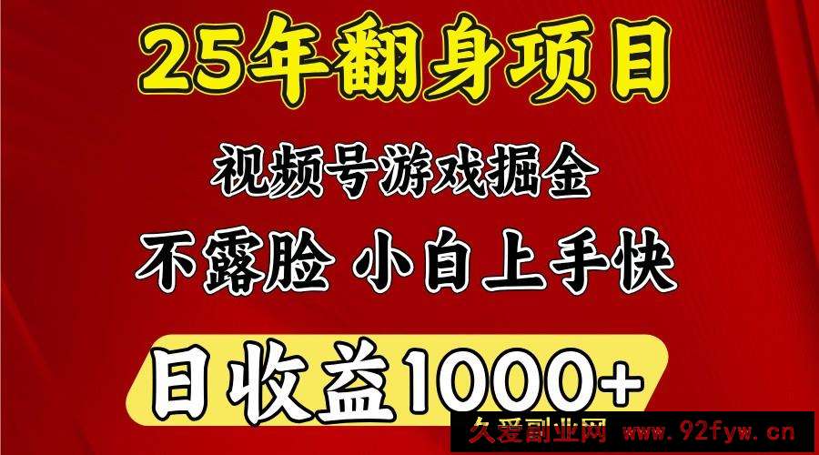 一天收益1000+ 25年开年落地好项目