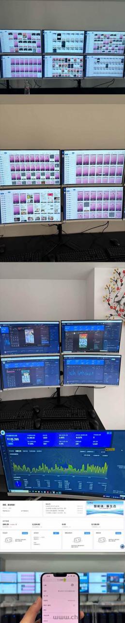 (14175期)2025 实操项目合集 挂机类型 直播类型 轻资产创业类型 课程分享各项目…