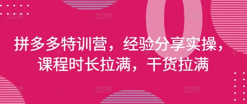 拼多多特训营，经验分享</div>
<p class=