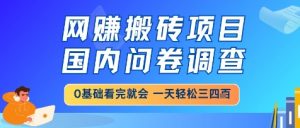 网创搬砖项目，国内问卷调查，小白轻松上手，一天三四张的也不难，干就完了【揭秘】-吾爱副业网
