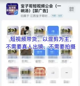 宝子哥头部团队短视频带货，以混剪为主，不需要真人出镜，不需要拍摄【更新】-吾爱副业网