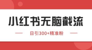 小红书截流同行客源，独家野路子获客玩法 日引200+暴力获客【揭秘】-吾爱副业网