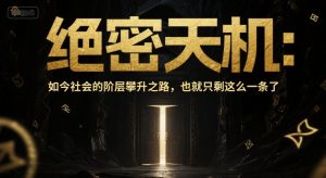 付费文章:绝密天机:如今社会的阶层攀升之路,也就只剩这么一条了-吾爱副业网