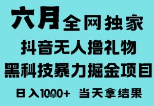 25年6月高爆抖音无人直播最新撸音浪掘金项目,门槛低小白可做,无脑日入1k,可矩阵放大【揭秘】-吾爱副业网