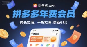 拼多多年费会员，实经验分享操，时长拉满，干货拉满(更新6月)-吾爱副业网