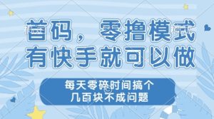 首码，零撸模式，有快手就可以做，每天零碎时间搞个几张不成问题【揭秘】-吾爱副业网
