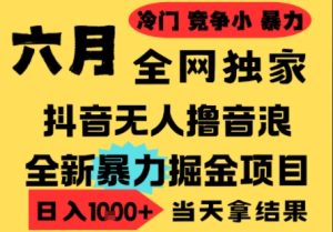 25年6月高爆抖音无人直播最新撸音浪掘金项目，小白可做，无脑日入1k+，门槛低可批量矩阵【揭秘】-吾爱副业网