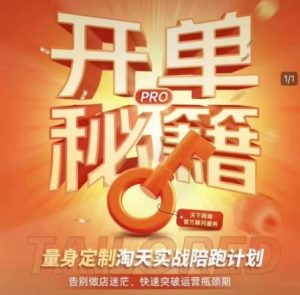 淘宝开单秘籍PRO,量身定制淘天实战陪跑计划,告别做店迷茫、快速突破运营瓶颈期(更新6月)-吾爱副业网