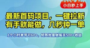 最新首码项目,一键拉新有手就能做,几秒钟一单,1个小时单号可60+,矩阵批量做每天5张【揭秘】-吾爱副业网