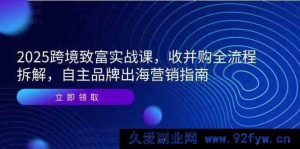 2025 跨境创富实战课程,并购全流程深度剖析,本土品牌出海营销指引-吾爱副业网