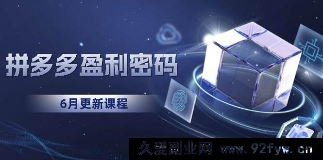 图片[1]-（15005期）拼多多盈利蜕变：告别烧钱推广，开启印钞模式，全新底层逻辑全解（6月全新版）-吾爱副业网
