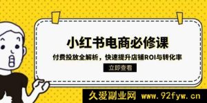 小红书电商必学：付费推广深度剖析，助力店铺猛增ROI及转化效能-吾爱副业网