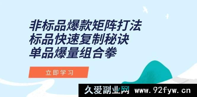 图片[1]-（15068期）非标品爆款打造新矩阵，标品极速复制秘籍，单品爆量全新攻略-吾爱副业网