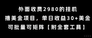 外面收费2980的挂G撸美金项目，单日收益30+美金，可批量可矩阵【揭秘】-吾爱副业网
