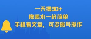 一天撸30+,像喝水一样简单,手机看文章,可多账号操作-吾爱副业网