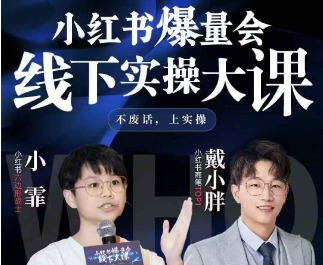 图片[1]-戴小胖-小红书爆量会6月28-30号线下课(价值4980元)_-吾爱副业网