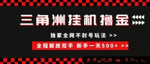 (15289期)全新三角洲挂机模式,稳定不封,单窗盈利20+,新手日赚500+的傻瓜式搬砖秘籍-吾爱副业网