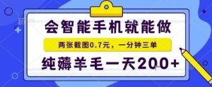 手机项目，二十秒一单，纯薅羊毛一天2张+做就有【揭秘】-吾爱副业网