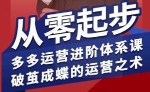 拼多多运营进阶系统课，从零起步，多多运营进阶体系课，破茧成蝶的运营之术（更新9月）-吾爱副业网