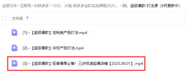 图片[5]-大炮电商-拼多多全阶实战课程2025年9月_-吾爱副业网
