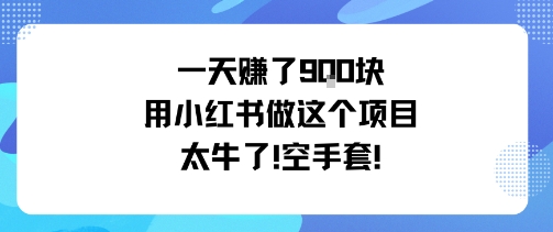 久爱副业网,网赚项目,网赚论坛博客网分享一天挣了9张用小红书做这个项目太牛了，空手套