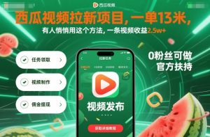 西瓜视频拉新项目，一单13米，有人悄悄用这个方法，一条视频收益2.5w+（附详细教程）-吾爱副业网