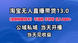 淘宝无人直播13.0，公域私域技术，不封号，不违规布局下半年旺季赛道，日入1K+（独家技术）【揭秘】-吾爱副业网