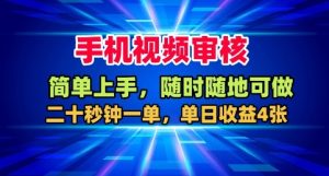 手机视频审核，随时随地可做，二十秒钟一单，单日收益4张+【揭秘】-吾爱副业网