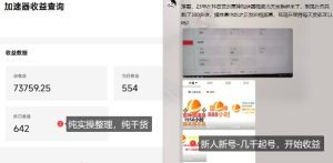 游戏加速器项目4.0_最新打法思路(爱玩游戏也能边玩边被动收益)-吾爱副业网