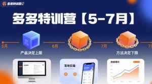 多多特训营,产品决定上限,方法决定下限,各种玩法技巧落地实操(更新)-吾爱副业网
