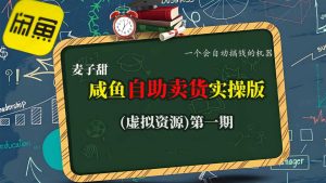 麦子甜咸鱼自助卖货实操版(虚拟资源)一个会自动搞钱的机器-吾爱副业网