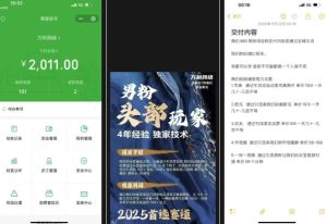 外面收费980全新男粉变现项目，竞争小，利润高，多种方式变现，独家技术-吾爱副业网
