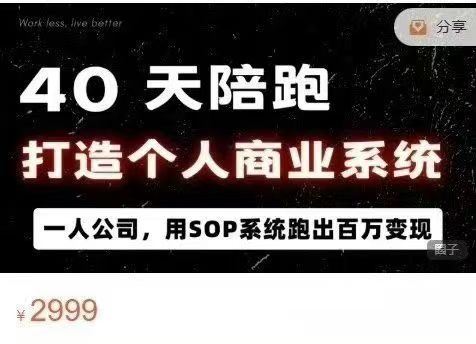 图片[2]-40天陪跑打造个人商业系2025年(价值2999元)_-吾爱副业网