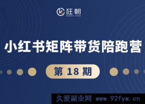 盗坤-第十八期小红书矩阵带货陪跑营2025年10月(价值4980元)_-吾爱副业网