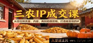三农短视频账号变现教程：精准定位+爆款内容创作+流量获取技巧+拍摄剪辑方法，教你打造高转化赚钱IP-吾爱副业网