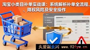 （16239期）淘宝小类目补单实操教程：全流程拆解、降权规避及安全玩法-吾爱副业网