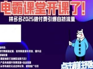 电霸学堂2025年拼多多电商运营教程冲刺双十一（价值4980元）_-吾爱副业网