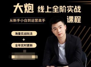 大炮电商-拼多多全阶实战课程2025年10月21日更新_-吾爱副业网